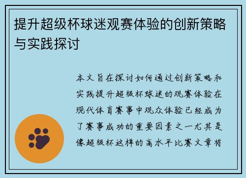提升超级杯球迷观赛体验的创新策略与实践探讨